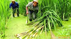 �Ĵ�ͨ���ػ�����������С��Ϻ һ�����������