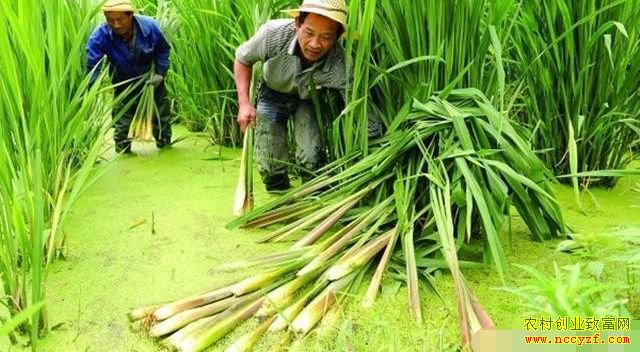 �Ĵ�ͨ���ػ�����������С��Ϻ һ�����������