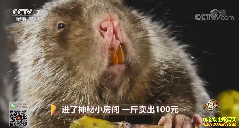 [�¸���]������Դ�ؽ��������С���������� һ������100Ԫ