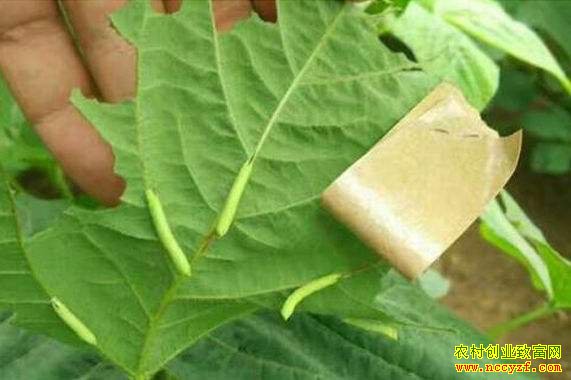 ����̫����������������Ҳ������Ǯ