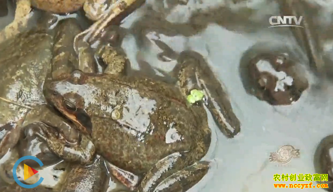 [�¸���]���ɹ���������־�������ܴ�������Ƹ�