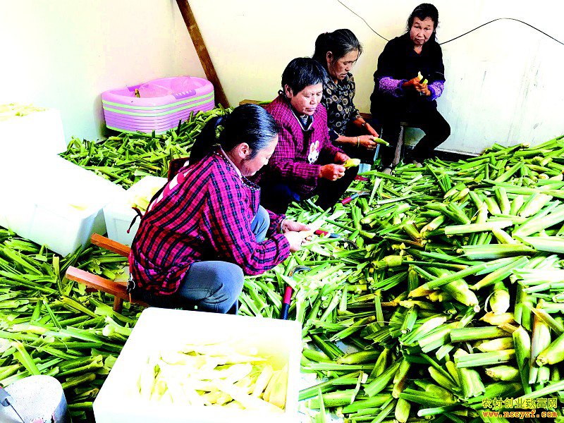 ������������ �Ĵ�Ӫɽ�ذ������������Ч���