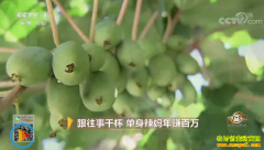 [�¸���]���������Ŵ�Ƽ��ֲ����⨺�����׬����