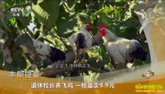 [�¸���]����ݺ�������ֳȵɽ�� һö������9.9Ԫ