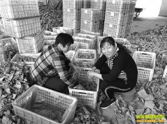 �����ڣ�⨺��������� �ۼ��Ǽ���