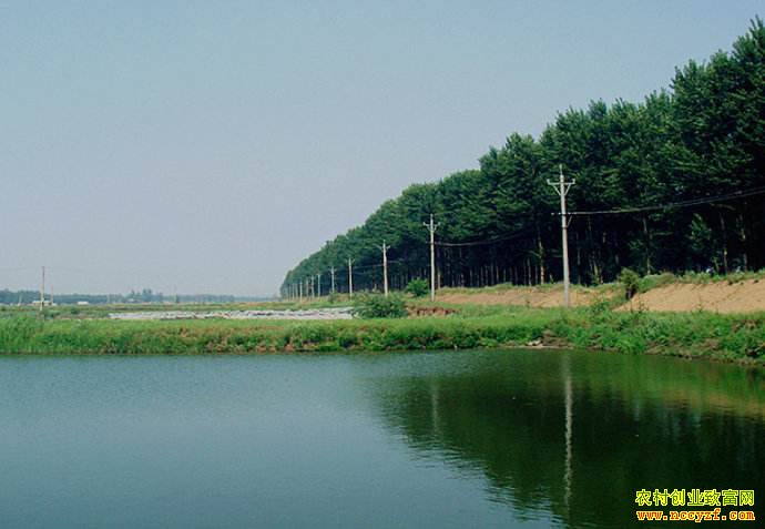 ɽ����ƽ����������Ч��� ��Ķ��������������