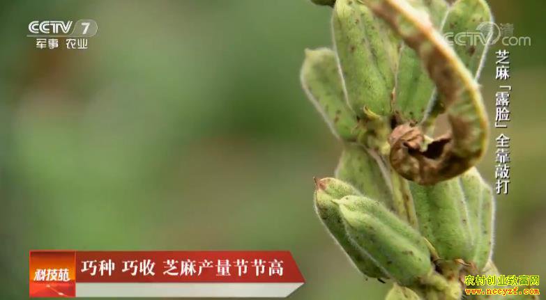 [�Ƽ�Է]���� ���� ֥������ڽڸ� 20181108