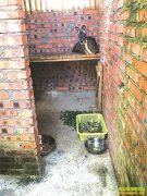 �Ҽ������� ����Ȧ�������Ĵ���Ԫ�˰���ɫ��ֳ ɽ���¸���·