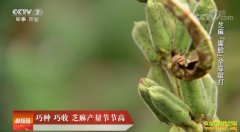 [�Ƽ�Է]���� ���� ������֥������ڽڸ�