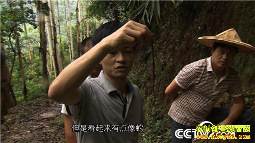 [�¸���]�������ݳ�־����ֳ����׬��ǧ��Ƹ�