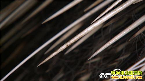 [�¸���]�������ݳ�־����ֳ����׬��ǧ��Ƹ�