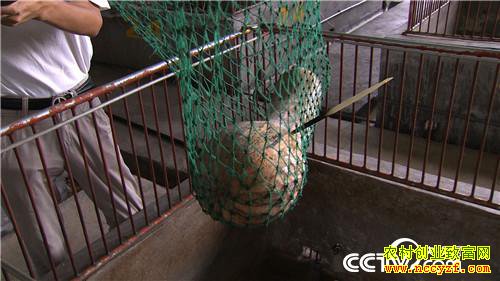 [�¸���]�������ݳ�־����ֳ����׬��ǧ��Ƹ�