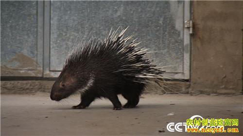 [�¸���]�������ݳ�־����ֳ����׬��ǧ��Ƹ�