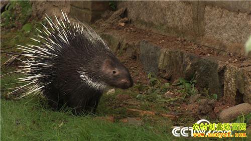 [�¸���]�������ݳ�־����ֳ����׬��ǧ��Ƹ�