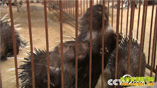 [�¸���]�������ݳ�־����ֳ����׬��ǧ��Ƹ�