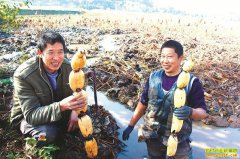 �ļ�������ź�� �Ĵ�������ź������������ֲ��ź׬����