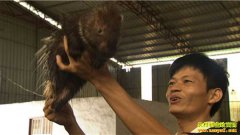 [�¸���]�������ݳ�־����ֳ����׬��ǧ��Ƹ�