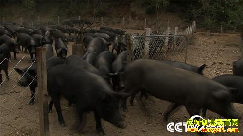 �¸����������ﴨ��ԴԶ��־Զ���ù�������������400��