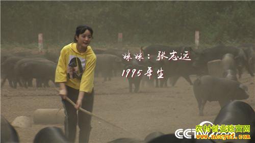 [�¸���]90����û����������� һͷ����2000��Ԫ 20181113 