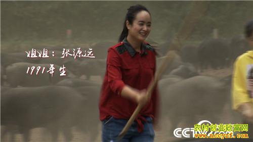 [�¸���]90����û����������� һͷ����2000��Ԫ 20181113 