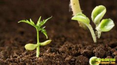 ʲô����ҽũҵ����ҽũҵ��δ��ǰ��������