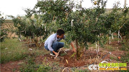 [�¸���]�����������׷� ֻΪһ������ʯ�� 20181101 