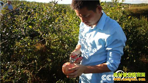 [�¸���]�����������׷� ֻΪһ������ʯ�� 20181101 