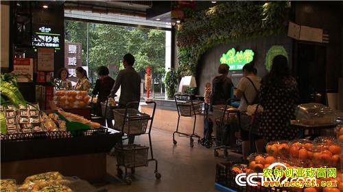 [�¸���]�����������׷� ֻΪһ������ʯ�� 20181101 