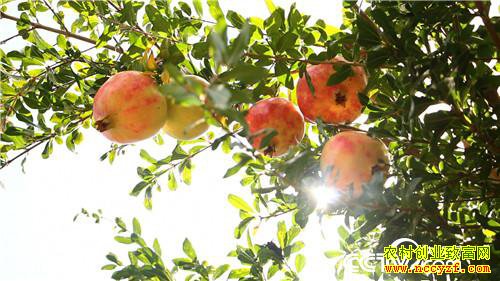 [�¸���]�����������׷� ֻΪһ������ʯ�� 20181101 