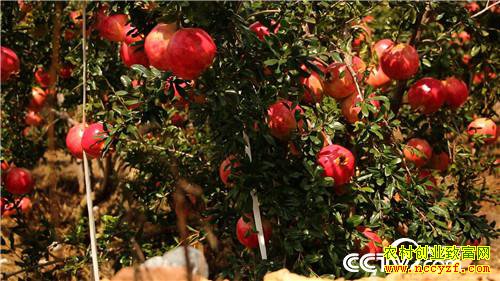 [�¸���]�����������׷� ֻΪһ������ʯ�� 20181101 