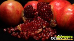 [�¸���]�����������׷� �Ĵ�����������ֲ����ʯ��������ǧ��