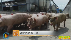 [ũ�����]�㽭������˳��������һ��