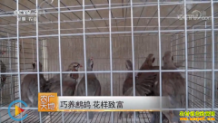 [ũ�����]ɽ�����ض�����������𳻨���¸�