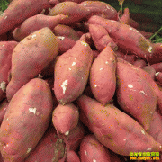 �������������翪�����������ز���ǧ��