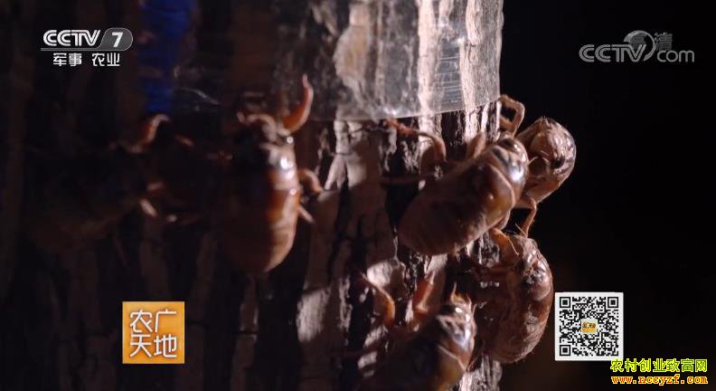 [ũ�����]ɽ���������������������¸�·