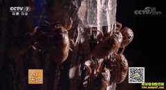 [ũ�����]ɽ���������������������¸�·