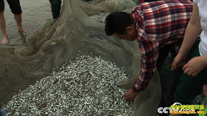 [�¸���]����������¶�����������ϡ��������׬��ǧ���