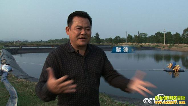 [�¸���]����������¶�����������ϡ��������׬��ǧ���