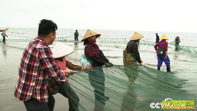 [�¸���]����������¶�����������ϡ��������׬��ǧ���