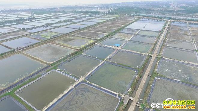 [�¸���]����������¶�����������ϡ��������׬��ǧ���