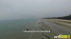 [�¸���]����������¶�����������ϡ��������׬��ǧ���