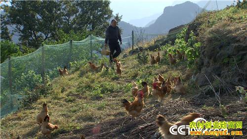 [�¸���]�ϼ����� ����Ǯ��������������800�� 20181120 