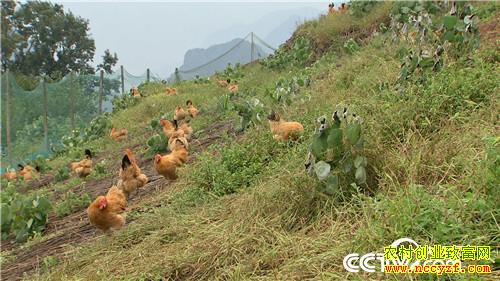 [�¸���]�ϼ����� ����Ǯ��������������800�� 20181120 