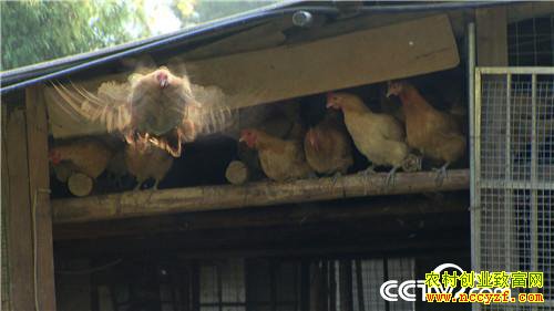 [�¸���]�ϼ����� ����Ǯ��������������800�� 20181120 