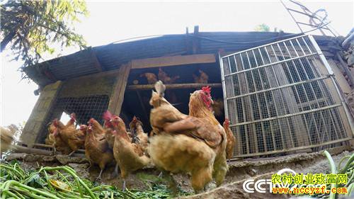 [�¸���]�ϼ����� ����Ǯ��������������800�� 20181120 