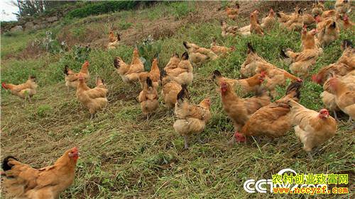 [�¸���]�ϼ����� ����Ǯ��������������800�� 20181120 