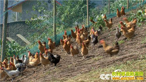 [�¸���]�ϼ����� ����Ǯ��������������800�� 20181120 