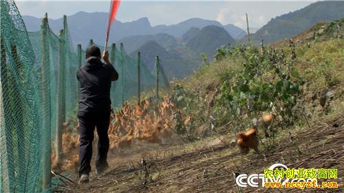 [�¸���]�ϼ����� ����Ǯ��������������800�� 20181120 