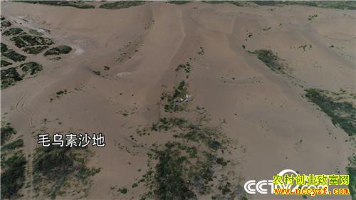 [�¸���]����ͷ�� ���˲Ƹ� ���ѻ�ɳ��ƽ� 20181119 