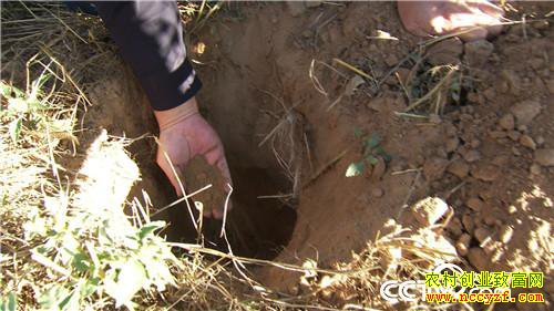 [�¸���]����ͷ�� ���˲Ƹ� ���ѻ�ɳ��ƽ� 20181119 